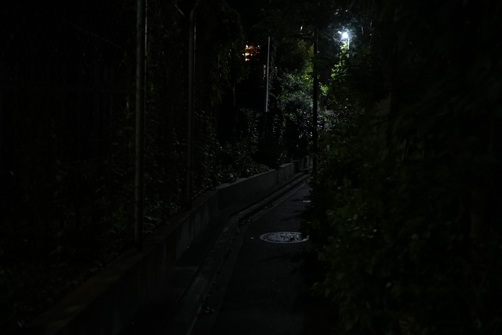 撮影：奥村健介